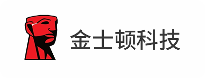 正航ERP管理系統案例-金士頓